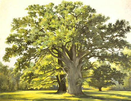 Курсы рисования для начинающих